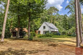 <h2>Charmante <strong>woning op 2.500 m² in het woonbos van Wildert</strong></h2>
<p>In het hart van het geliefde woonbos van Wildert bevindt zich deze superleuke, volledig onderkelderde woning op een prachtig perceel van <strong>2.500 m²</strong>. Een ideale thuis voor wie houdt van rust, natuur en een woning met karakter én potentieel.</p>
<h3><strong>Indeling & kenmerken</strong></h3>
<ul>
<li>
<p><strong>Volledig onderkelderd</strong> — extra bergruimte, hobbyruimte of praktijkmogelijkheden</p>
</li>
<li>
<p><strong>3 volwaardige slaapkamers</strong></p>
</li>
<li>
<p><strong>Centrale trap</strong> die alle verdiepingen elegant met elkaar verbindt</p>
</li>
<li>
<p><strong>Dressing</strong> aansluitend op de slaapkamers</p>
</li>
<li>
<p><strong>Badkamer met hoekbad</strong></p>
</li>
<li>
<p><strong>Carport</strong> naast de woning</p>
</li>
</ul>
<h3><strong>Ligging & perceel</strong></h3>
<p>Het perceel van 2.500 m² ligt midden in het groene woonbos van Wildert, een omgeving die bekend staat om haar rust, privacy en prachtige natuur. De tuin biedt tal van mogelijkheden: speelruimte, siertuin, moestuin, uitbreiding of gewoon genieten van de stilte en het bosrijke uitzicht.</p>
<h3><strong>Pluspunten</strong></h3>
<ul>
<li>
<p>Unieke ligging in het woonbos</p>
</li>
<li>
<p>Volledig onderkelderd — zeldzaam en bijzonder praktisch</p>
</li>
<li>
<p>Degelijke structuur en veel uitbreidingsmogelijkheden</p>
</li>
<li>
<p>Ideaal voor gezinnen, natuurliefhebbers of wie een woning zoekt met karakter</p>
</li>
<li>Mits functiewjziging onder voorwaarden permanente bewoning mogelijk.</li>
</ul>