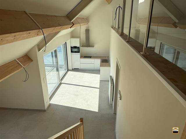 Project te koop in Borgloon