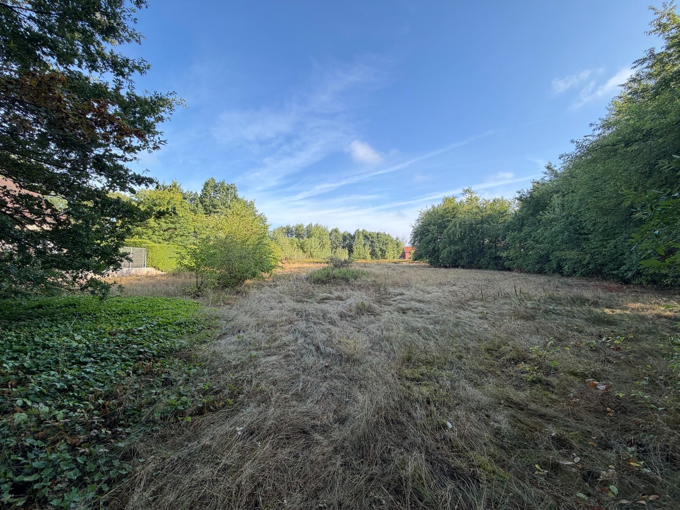 Genk, Kneippstraat 28: Ruime en uitstekend gelegen bouwgrond van 10a 81ca in een natuurrijke omgeving. - foto 4