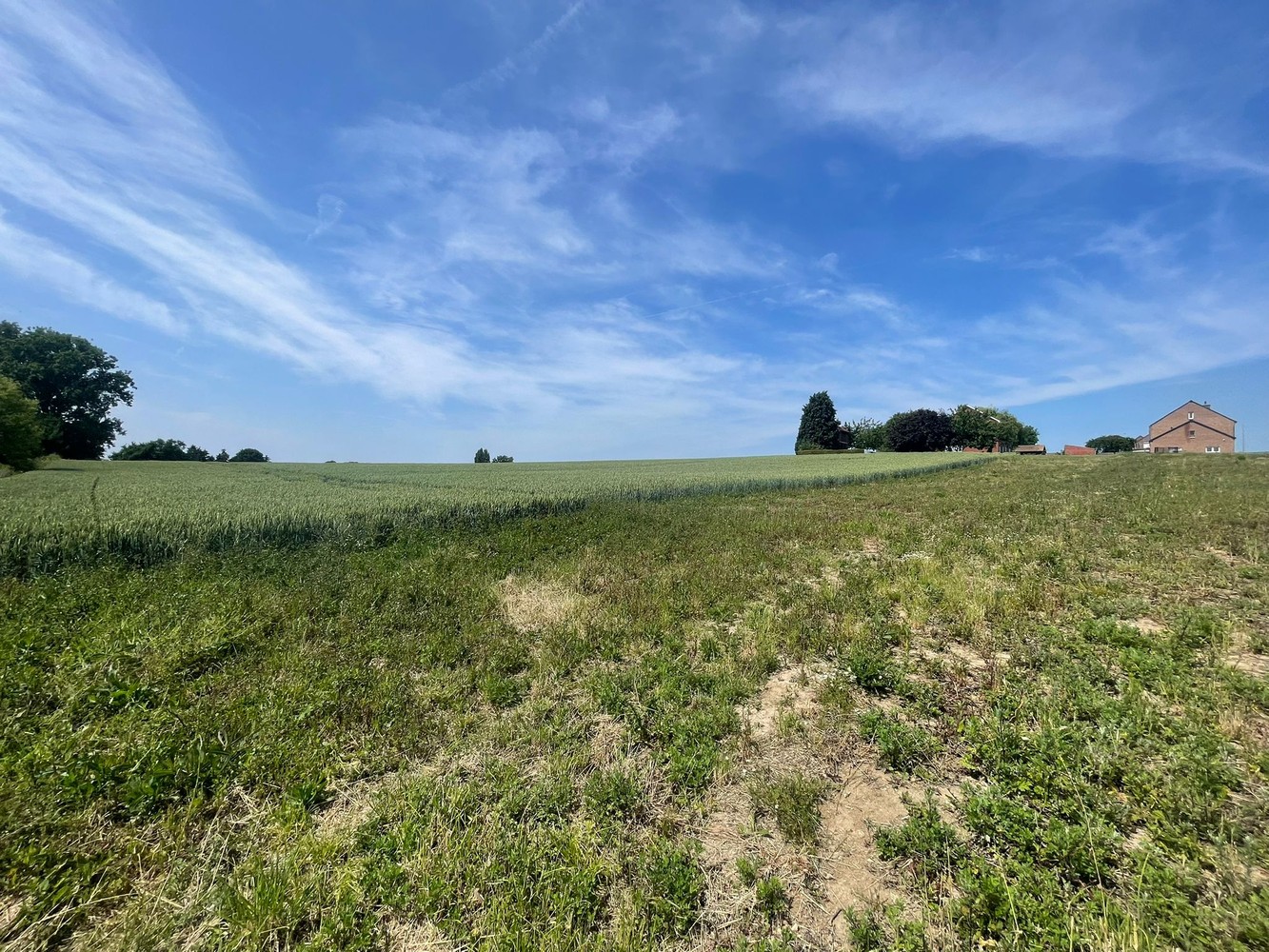 Land for sale in Borlo - photo 4