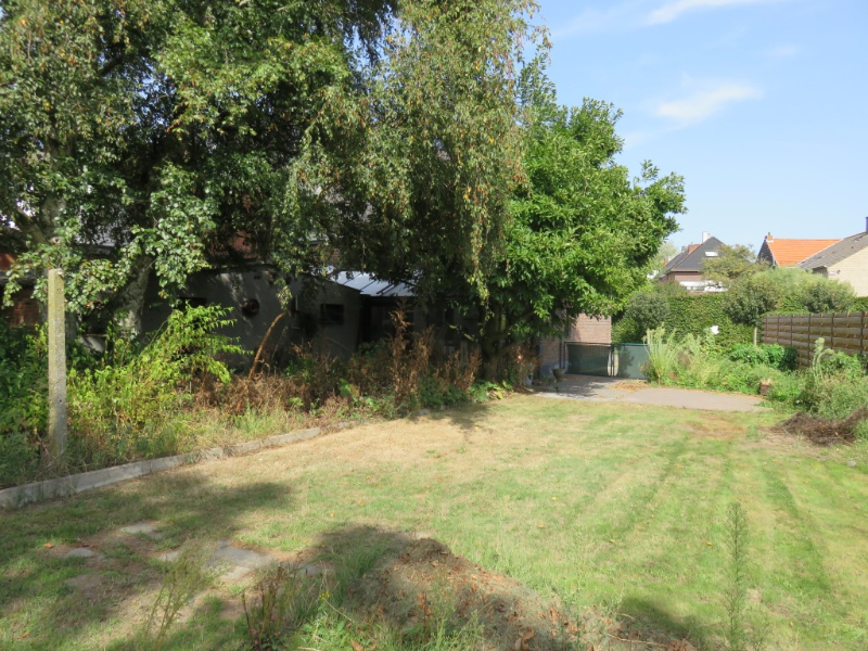 Totaal te renoveren woning op groot perceel van ca. 1270m² - foto 5