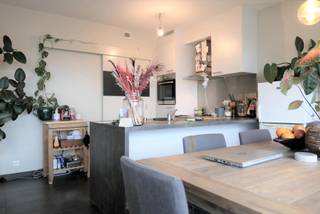 <span>Dit leuk en gezellig </span><strong>2 slaapkamer appartement</strong><span> biedt alle comfort. Met een ligging </span><strong>nabij Gent Zuid</strong><span>, in de nabijheid van fietsroutes die een makkelijke verbinding bieden naar de binnenstad en een makkelijke toegang naar de autosnelweg of de R40 is de perfecte uitvalsbasis voor wie in Gent wil wonen.</span><br /><br /><span>De</span><strong><span> </span>leefruimte</strong><span> met </span><strong>open geïnstalleerde keuken</strong><span> biedt via het grote schuifraam toegang tot het leuke </span><strong>terras</strong><span>. De keuken is voorzien van een vitrokeramische kookplaat, een dampkap, een hete luchtoven, een inbouwkoelkast en een vaatwasmachine. </span><span>Achter de keuken ligt de berging, </span><span>waar</span><span> plaats </span><span>is</span><span> voor een wasmachine en droogkast.</span><br /><br /><span>De </span><strong>badkamer</strong><span> is ingericht met een hangmeubel met dubbele wastafel met daarboven een spiegelkast, een bad met daarin een douche met thermostatische mengkraan en glazen wand.</span><br /><br /><span>De</span><strong><span> </span>lichtrijke grote slaapkamer</strong><span> biedt voldoende ruimte voor een dubbel bed en een kleerkast. </span><br /><br /><span>De </span><strong>tweede slaapkamer</strong><span> is kleiner en biedt plaats voor een eenpersoonsbed of bureau met kast en heeft ook een klein terras.<br /><br /></span><strong>Domicilie verplicht</strong><span>.</span><br /><span></span><span></span><strong>Huurprijs : 1.050 Euro per maand</strong><br /><span>Huurwaarborg : 3 maanden huur</span><br /><strong>Gemeenschappelijke lasten : 85 Euro forfait per maand</strong><br /><span>Er zijn individuele tellers voor water, gas en electriciteit.</span><br /><span>Mobiscore : 9,5/10</span><br /><span></span><strong>Beschikbaar vanaf 01/10/2026</strong><br /><span>Bezoeken enkel na afspraak.</span><br /><strong><br />Een bezoek plannen? Dit kan enkel via onze website www.stellarimmo.be/te-huur. Ga naar het pand en klik op de Een bezoek aanvragen knop onder de foto van de makelaar</strong><span>.</span><br /><br /><strong>Verdere info via martine@stellarimmo.be</strong>