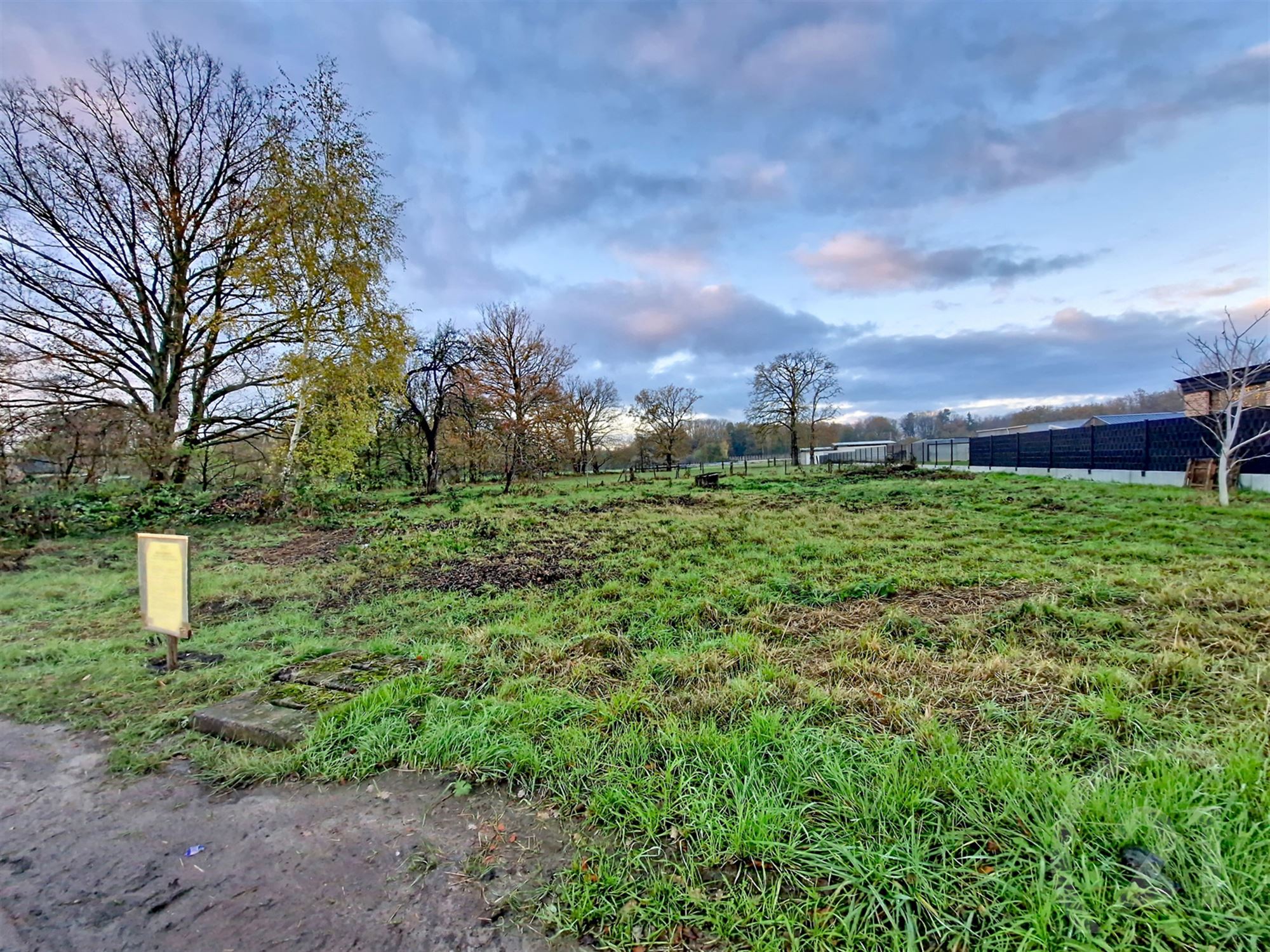 Bouwgrond te koop in Begijnendijk! - foto 5