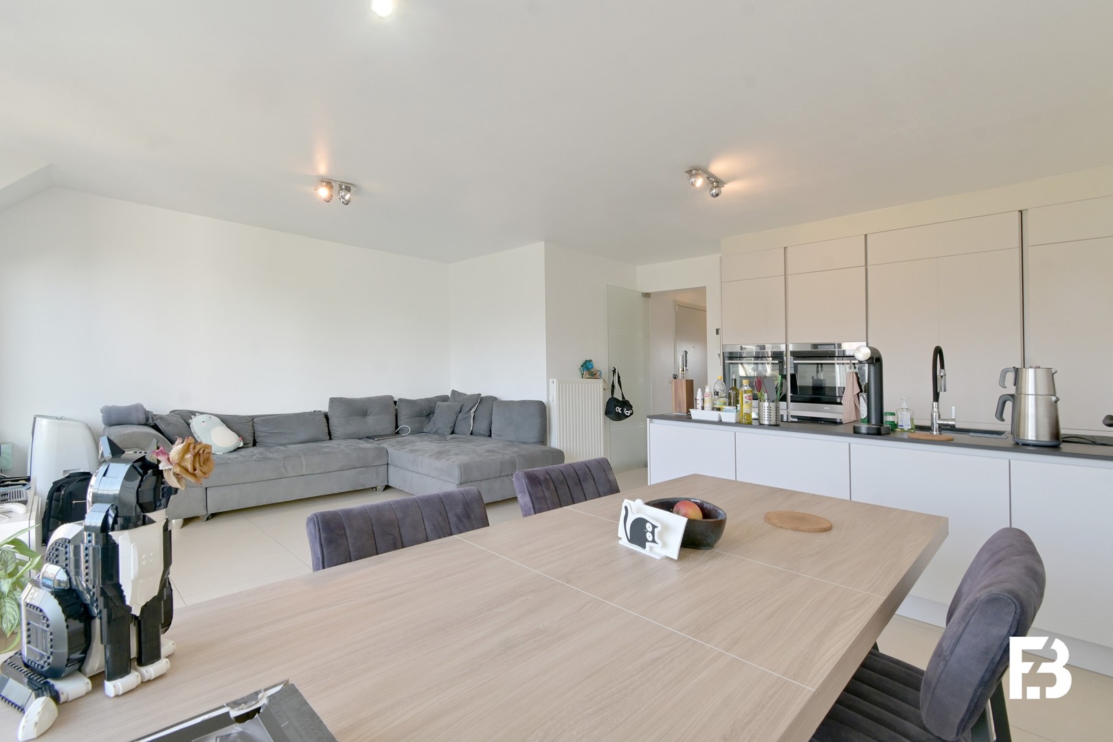 Ruime duplex met terras en vrij uitzicht in Zwijnaarde - foto 4
