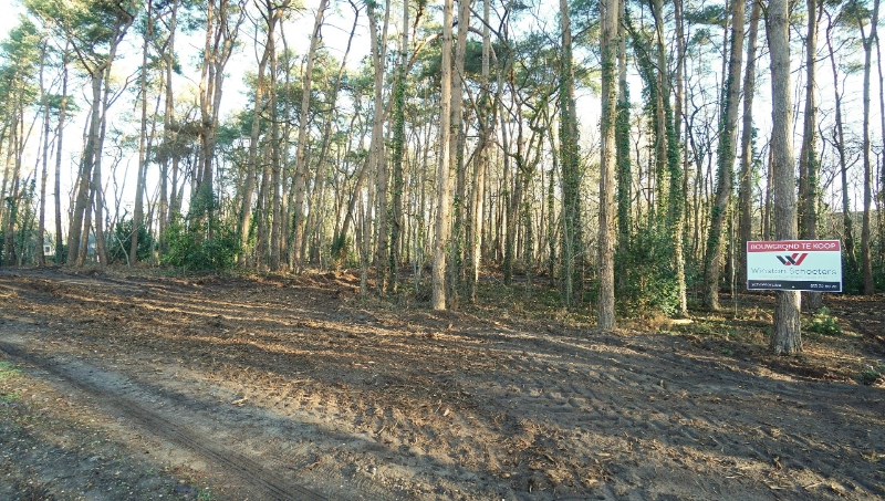Residentieel gelegen bouwgrond van 31 are met 37 are bosgrond nabij golf- en meerdomein - foto 5