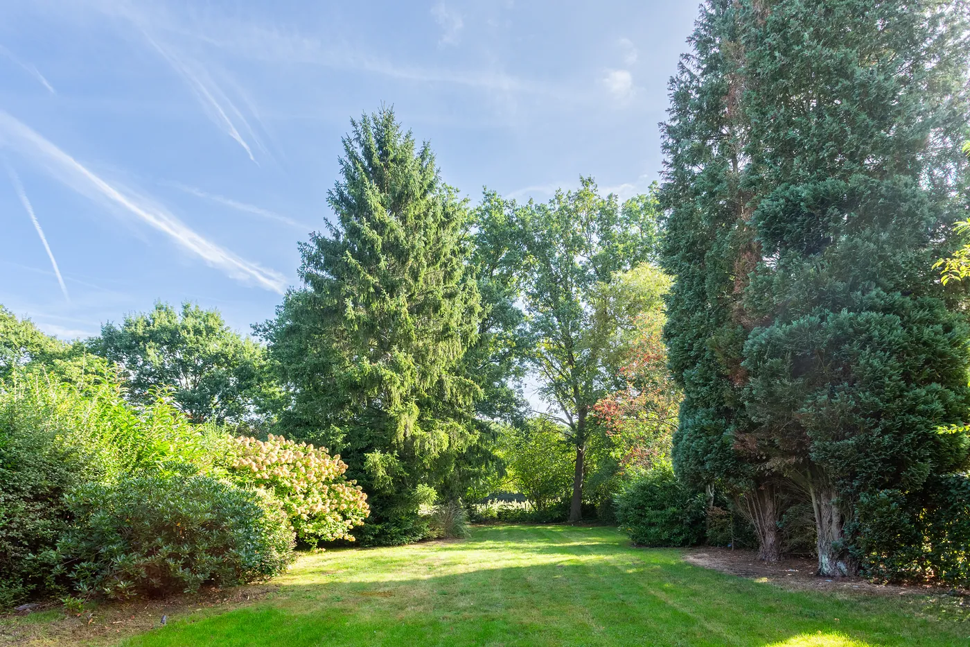 HOUSE SYLVAN | Architecturale villa in het groene Schilde - foto 4