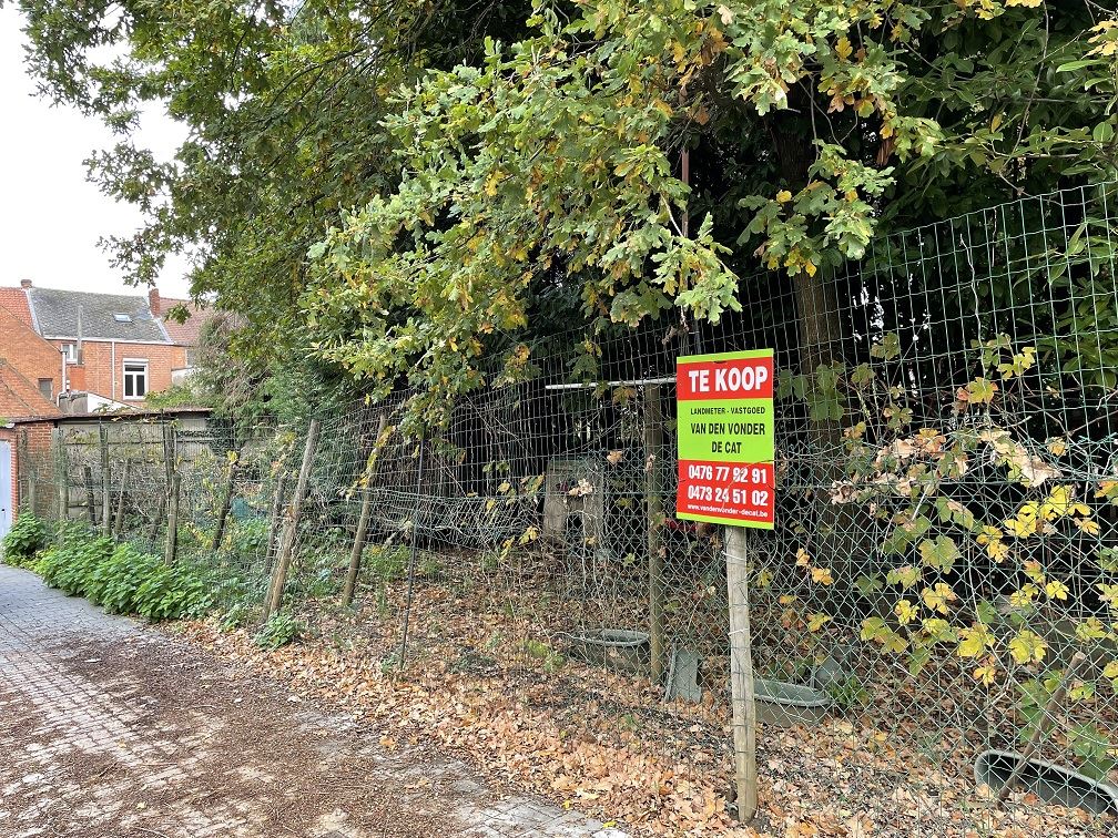 Land for sale in Aarschot - photo 3