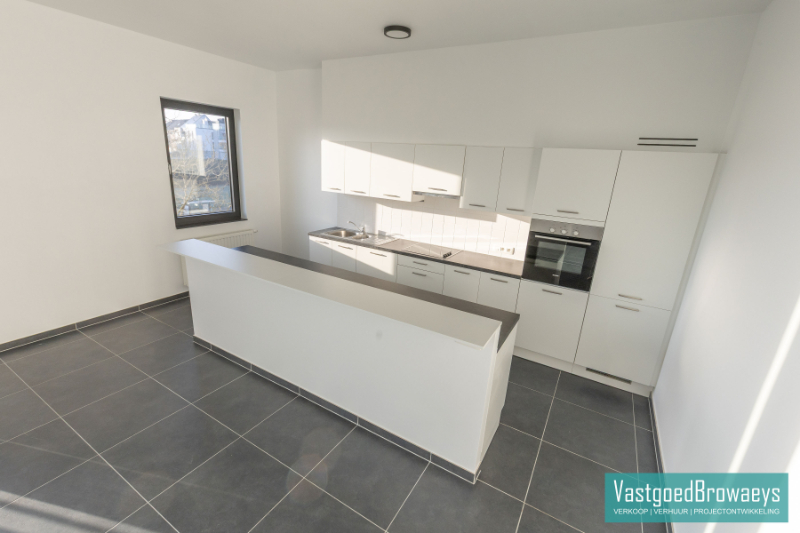 Apartment for rent in Ronse with 2 bedrooms - photo 4