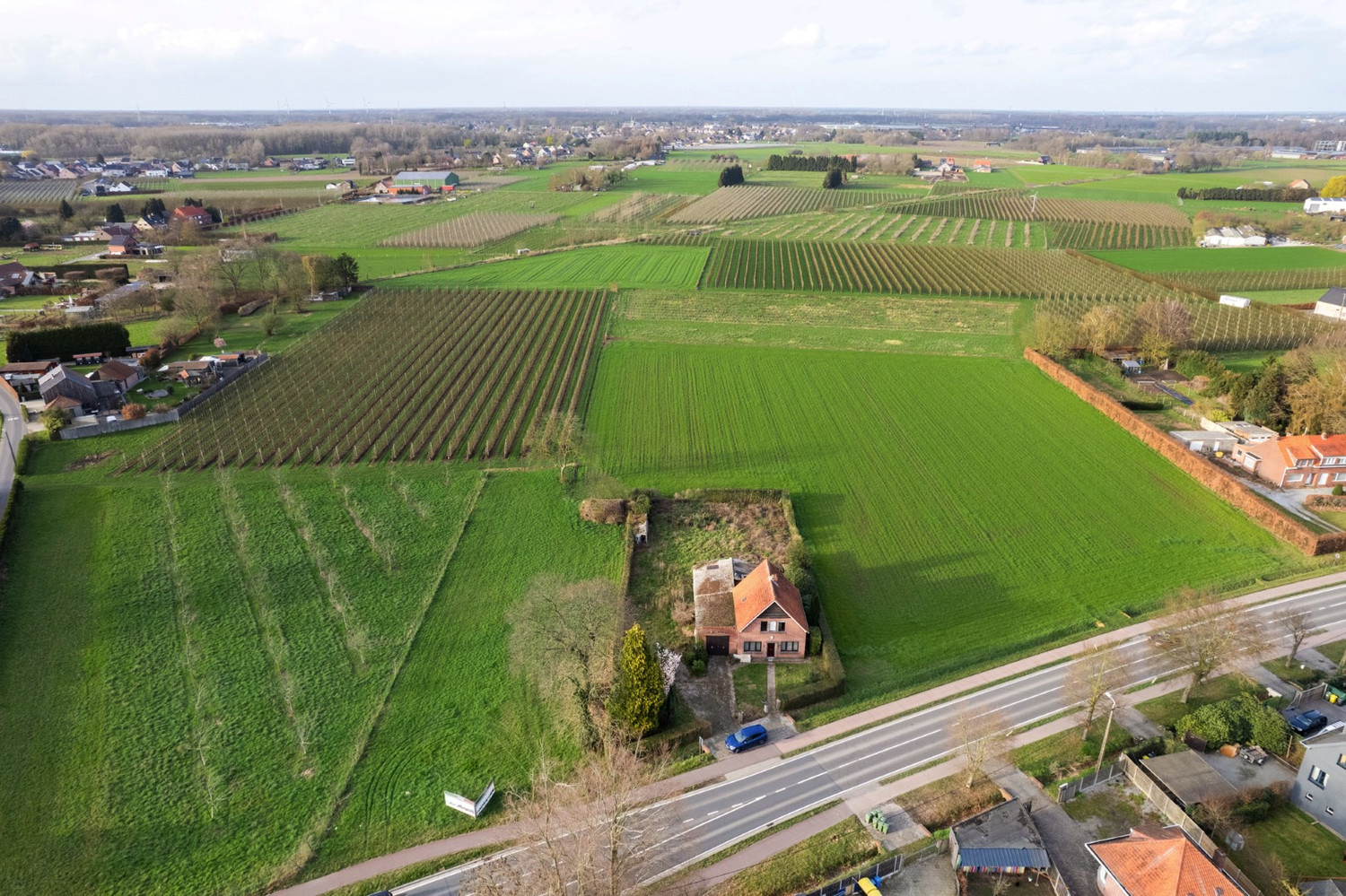 TE RENOVEREN WONING OMGEVEN DOOR AGRARISCH GEBIED! - foto 2