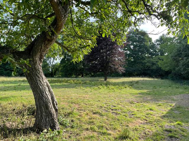 Project te koop in Berlare