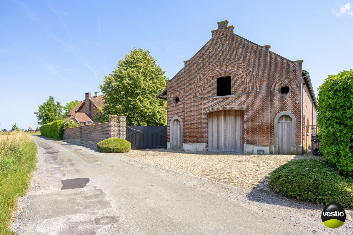 EXCLUSIEVE HOEVE MET  ATELIER, STALLING EN AANPALENDE WEIDE OP CA. 1,6 HECTARE NABIJ DOMEIN NIEUWENHOVEN. - foto 4