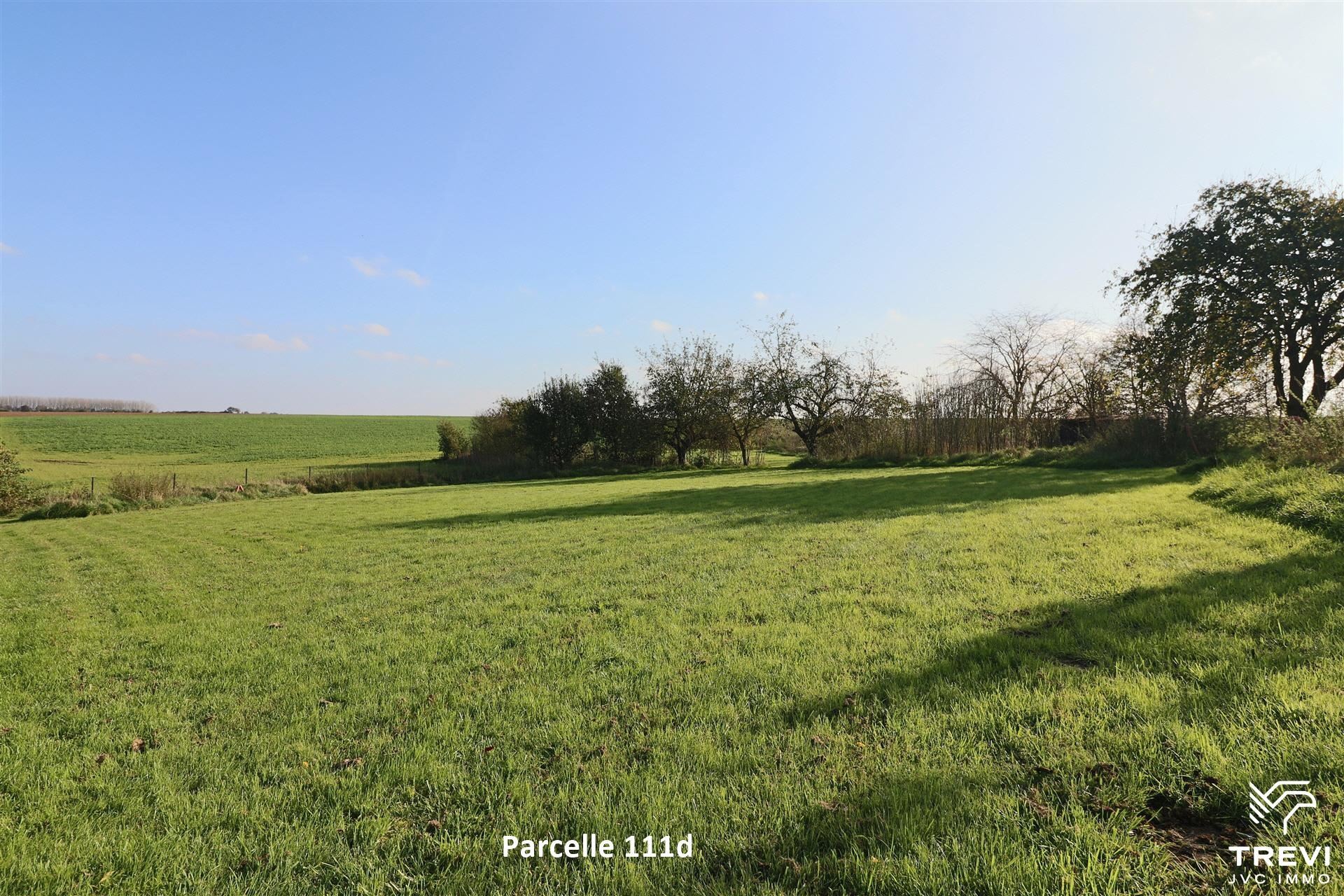 Grond te koop in Orp-Le-Grand - foto 1