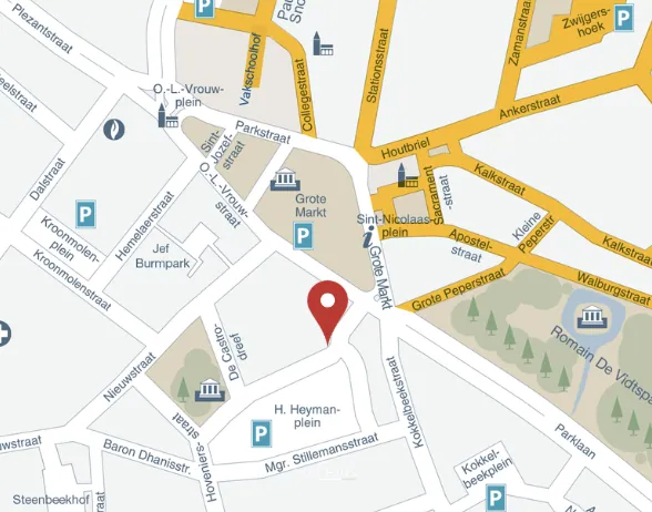 UNIEKE OPPORTUNITEIT: ONDERGRONDSE PARKEERPLAATS IN CENTRUM SINT-NIKLAAS - foto 3