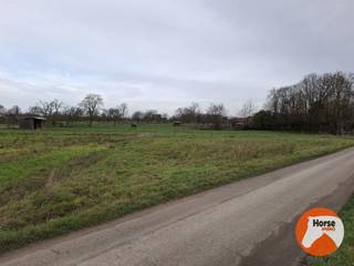 HAALTERT - Weide van +- 55a <br /><br />Deze weide heeft een totale oppervlakte van 5.486m².<br />Het betreft twee percelen, kadastraal gekend als HAALTERT/1 AFD/ HAALTERT/ B439 P0000 en B440 P0000.<br /><br />Het perceel is gelegen in agrarisch gebied, vrij van pacht en is bereikbaar via een verharde landweg.<br /><br />Voor meer informatie kan u ons steeds contacteren: 053/60.65.66