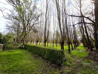 Ruime vrijstaande woning gelegen in de dorpskern van Heist-Goor met bakker, beenhouwer, Delhaize, dokter en schoolvoorzieningen op wandelafstand. Op fietsafstand van Heist centrum.<br />De woning is gelegen op een zonnig zuidgericht perceel van 10a65ca met een achterliggend weiland van 25a85ca. Weiland optioneel bij aan te kopen.<br /><br />Gunstige EPC score D, geen renovatieverplichting, dankzij:<br />- PVC ramen dubbel glas met rolluiken <br />- Centrale verwarming aardgas met vernieuwde brander 2024<br />- Dakisolatie 6cm - kan makkelijk bij geïsoleerd worden als gewenst<br /><br />Elektriciteit conform gekeurd.<br /><br />Het gelijkvloers biedt een inkomhal met gastentoilet. Woonkamer met vernieuwde open keuken voorzien van alle toestellen en comfort waaronder kookplaat, microgolfoven, oven, vaatwasmachine, ijskast, diepvries. Bureauruimte of extra gezellige zithoek of kinderspeelruimte. Ruime badkamer uitgerust met ligbad, douche, 2de toilet en voorzieningen voor wasmachine en droogkast.<br />Het 1ste verdiep geeft uit op een nachthal, 3 ruime slaapkamers en een 4de compacte bureaukamer.<br />Via een valtrap wordt toegang gegeven tot een ruime zolder die nog potentieel heeft tot een extra slaapkamer als gewenst.<br />Berging kelder en kruipkelder aanwezig onder de woning.<br /><br />Deze gezellige woning biedt verrassend veel ruimte, is gelegen op een diep zonnig perceel en is direct instapklaar. De tuin biedt een bijgebouw dat kan dienst doen als carport en buiten berging.<br />Achterliggend ruime diepe tuin met achterliggend weiland waarop verschillende bomen staan ingeplant.<br />Weiland van 25a85ca is niet inbegrepen in de prijs en kan optioneel bij aangekocht worden.<br /><br />Kom deze woning zeker ontdekken en plan uw afspraak via Dupont Vastgoed op 015 15 15 15<br /><br /> 