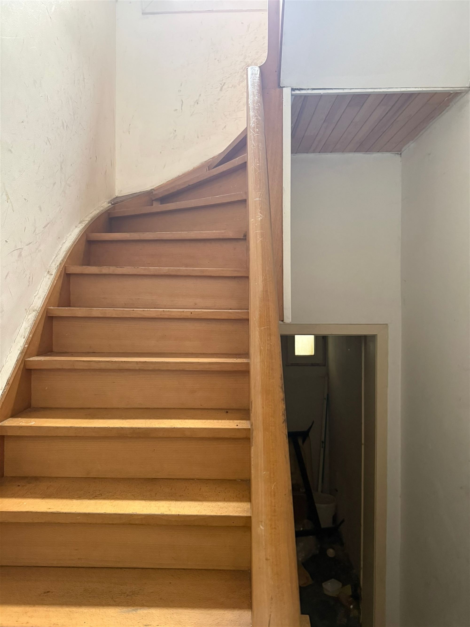 Commercial for sale in Antwerp with 4 bedrooms - photo 3