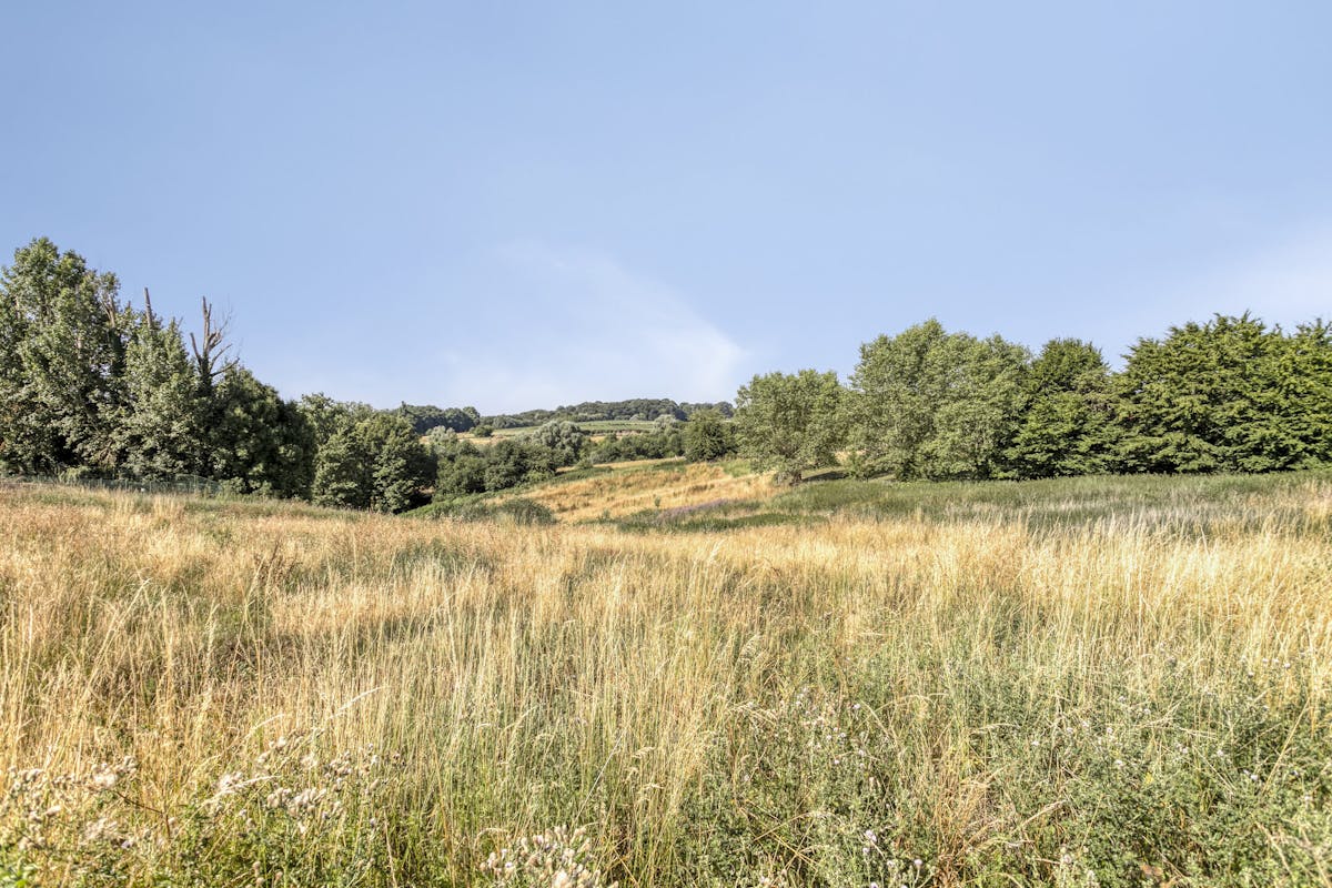 Terrain avec vue imprenable à vendre à Ellezelles - photo 5