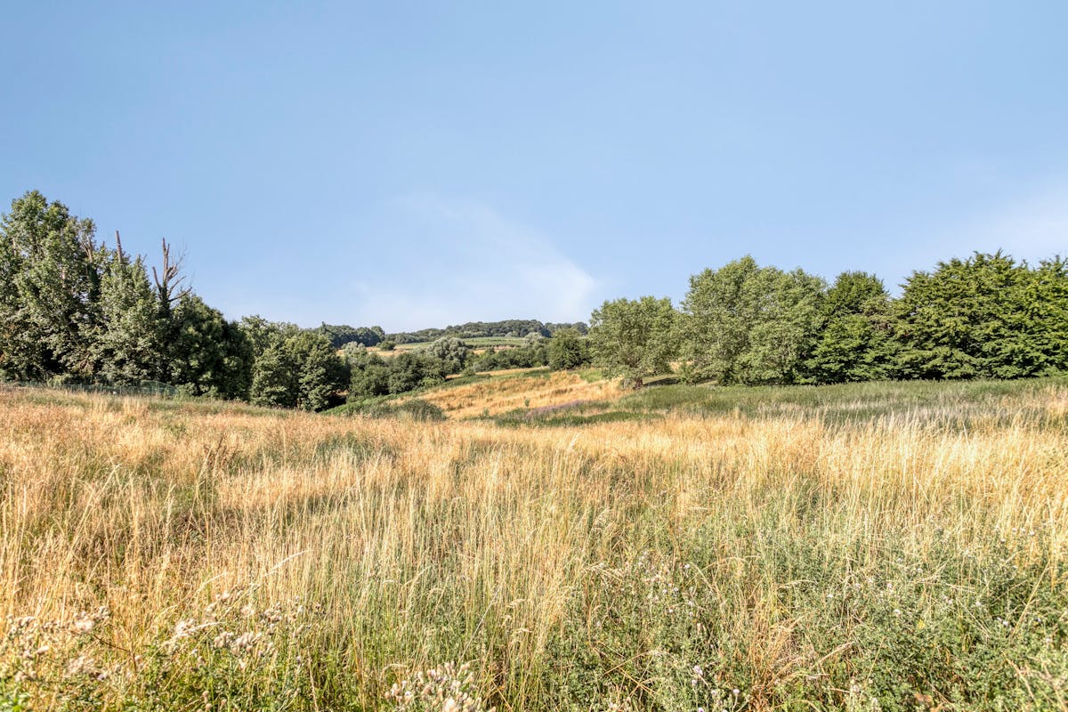 Bouwgrond met prachtig uitzicht te koop in Ellezelles - foto 5