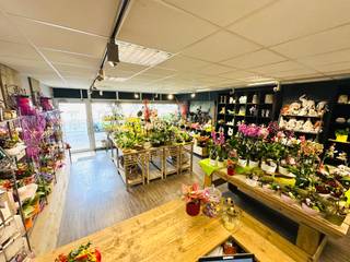 Te Koop: Handelszaak op Toplocatie in Wervik Unieke kans om een instapklare handelszaak over te nemen op een toplocatie in Wervik! Momenteel...