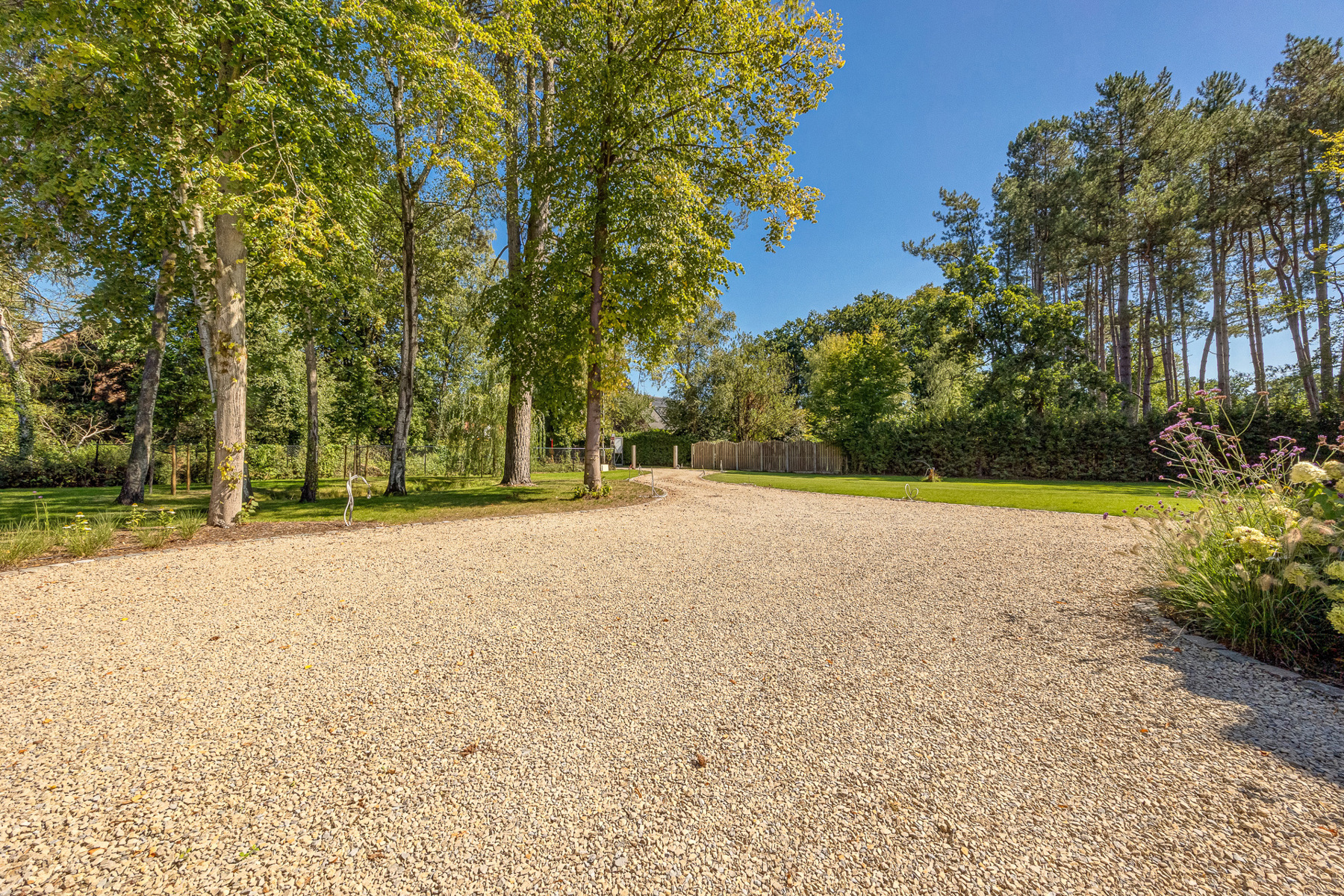 ELEGANTE HOEVE MET OOG VOOR PERFECTIE - foto 4