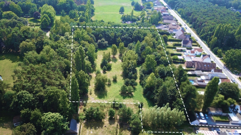 TE KOOP – Uniek stuk bouwgrond in de bossen van Lembeke – >15.000 m² - foto 1