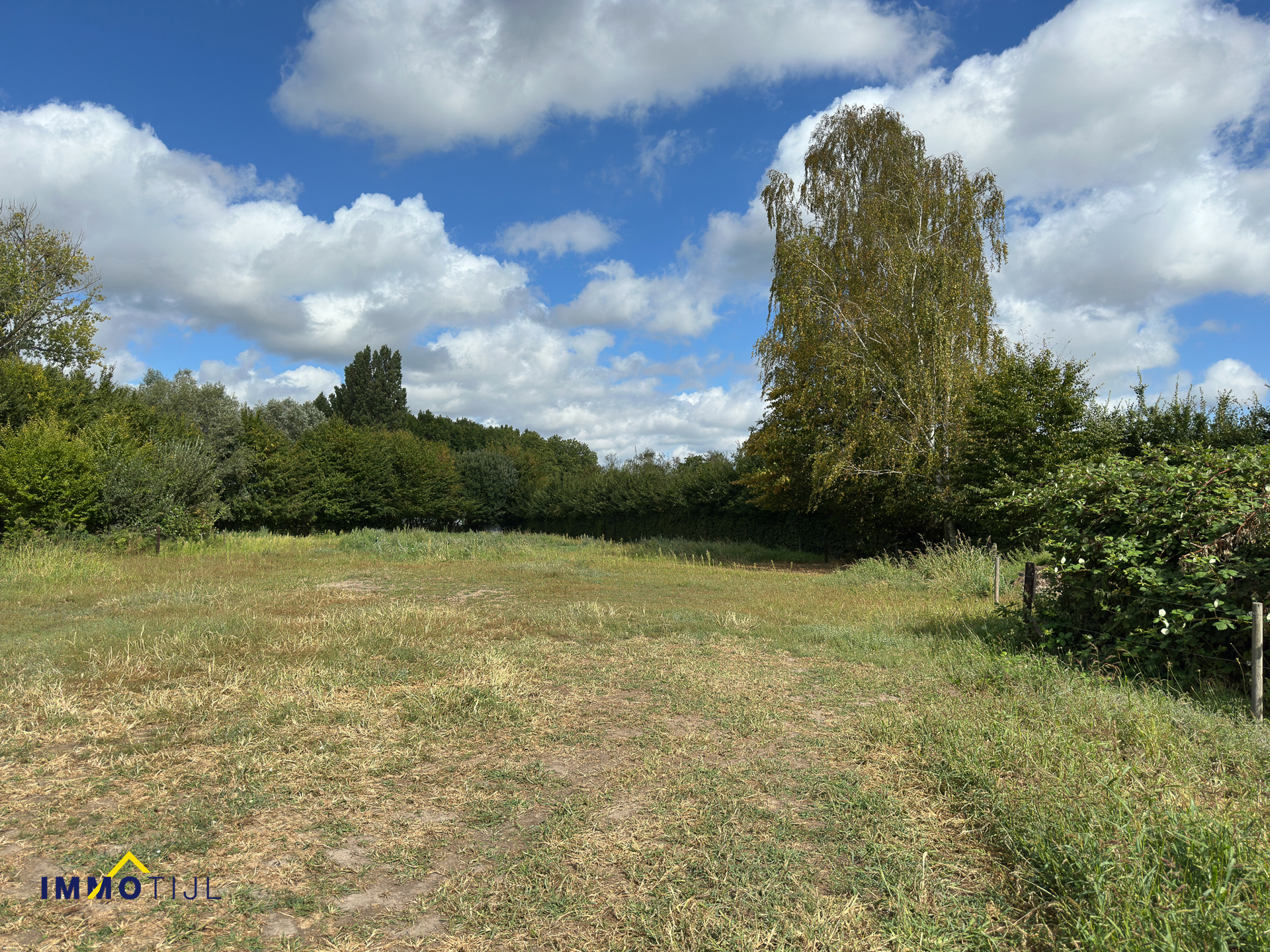 Opslagplaats/magazijn met weiland te koop in Lebbeke! - foto 4