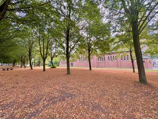 Op een rustige en groene ligging in Doornzele bevindt zich deze verzorgde halfopen bebouwing met 3 slaapkamers, een nette keuken &amp; badkamer en een volwaardige zolderverdieping. De woning ligt centraal, met onder meer een school op wandelafstand, en combineert een aangename woonomgeving met een praktische bereikbaarheid (parkgebied vooraan).<br />De woning staat op een onderhoudsvriendelijk perceel van 290m² en werd doorheen de jaren subliem onderhouden en op verschillende vlakken opgefrist. Dankzij de mooie bewoonbare oppervlakte en praktische indeling is dit een interessante gezinswoning met een stevige basis, waar nieuwe eigenaars verder hun eigen accenten kunnen leggen.<br />Op het gelijkvloers vinden we een aangename leefruimte met houtkachel, een nette keuken en aansluitend een ruime bijkeuken/wasplaats. De badkamer werd in 2021 vernieuwd en ook de elektriciteit is conform gekeurd in 2025, wat alvast een belangrijke investering uitspaart.<br /><br />Op de verdieping bevinden zich 3 slaapkamers. Daarnaast beschikt de woning over een volwaardige zolderverdieping, die bijkomende mogelijkheden biedt en waar eventueel een vaste trap naartoe kan worden voorzien.De tuin biedt voldoende ruimte om aangenaam van het buitenleven te genieten zonder veel onderhoud en achteraan bevindt zich een ruime dubbele carport (2016)<br /><br />De woning heeft momenteel een EPC-label F en valt bijgevolg onder de renovatieverplichting. Vooral de huidige elektrische accumulatieverwarming weegt door in de energiescore. Het moderniseren van het verwarmingssysteem kan dan ook een belangrijke stap zijn richting een betere energieprestatie.<br /><br />Indeling: inkomhal met apart toilet, leefruimte met eet- en zithoek, nette keuken, badkamer met douche &amp; toilet, praktisch bijkeuken/berging/wasplaats en de onderhoudsvriendelijke tuin met dubbele carport. <br />1ste verdieping: nachthal en 3 slaapkamers<br />+ de volwaardige opbergzolder (mogelijkheden). <br /><br />Een verzorgde gezinswoning op een rustige, groene locatie met heel wat potentieel ! <br />Meer info of een bezoek? Bel WIJSvastgoed op +32 9 395 80 10 !
