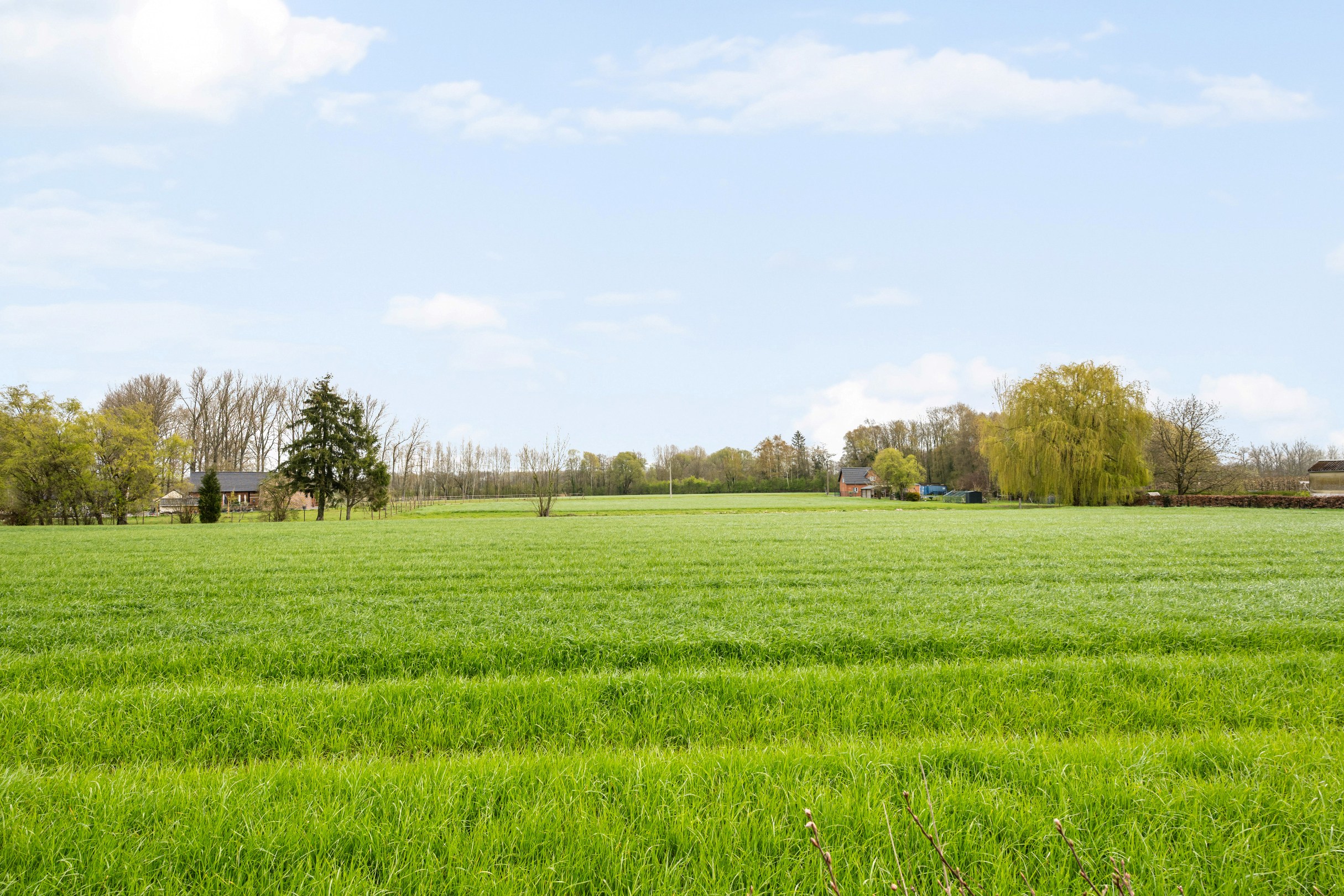 Karaktervolle woning met 4 slaapkamers - foto 4