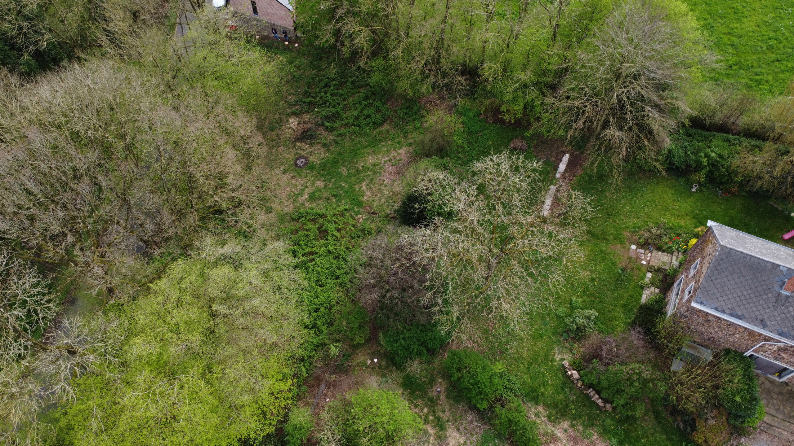 Grond te koop in Marchin - foto 3