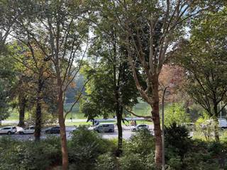 Appartement à louer à Anvers