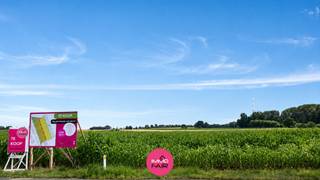 Een eigen nieuwbouwwoning bouwen en tegelijk genieten van een groene omgeving? Dit perceel van 517 m² aan de Riemsterweg in Martenslinde biedt hiervoor een interessante basis.<br /><br />Het perceel is bestemd voor halfopen bebouwing en beschikt aan de achterzijde over een open zicht op de omliggende velden. Dankzij de ligging zijn Bilzen, Genk, Riemst, Maastricht en de E313 vlot bereikbaar.<br /><br />De bouwmogelijkheden omvatten onder meer:<br /><br />Gelijkvloerse bouwdiepte tot maximaal 17 m<br /><br />Bouwdiepte op de verdieping tot maximaal 12 m<br /><br />Maximaal 2 volwaardige bouwlagen<br /><br />Keuze tussen een hellend of plat dak<br /><br />Mogelijkheid tot het voorzien van een carport binnen de voorziene zone<br /><br />Afmetingen van het perceel:<br /><br />Straatzijde: ca. 10,3 m<br /><br />Achterzijde: ca. 10,3 m<br /><br />Linkerzijde: ca. 50 m<br /><br />Rechterzijde: ca. 50 m<br /><br />Ook een vrijstaand bijgebouw behoort volgens de verkavelingsvoorschriften tot de mogelijkheden. Per perceel kan een tuinberging, poolhouse of terrasoverkapping worden opgericht met een maximale oppervlakte van 10% van de achtertuin. Voor halfopen bebouwing komt dit neer op ongeveer 22 m², afhankelijk van de uiteindelijke inrichting van de achtertuin.<br /><br />Achteraan bevindt zich een grachtzone die onbebouwd moet blijven.<br /><br />De hoofdbestemming van het perceel is wonen. Als nevenactiviteit zijn vrije beroepen, kantoorruimte en diensten toegestaan, met uitzondering van horeca en handel.<br /><br />Op zoek naar een praktisch bouwperceel met de vrijheid van nieuwbouw en een aangenaam uitzicht over de velden aan de achterzijde? Neem contact op via 089 390 990 of info@immofair.be!