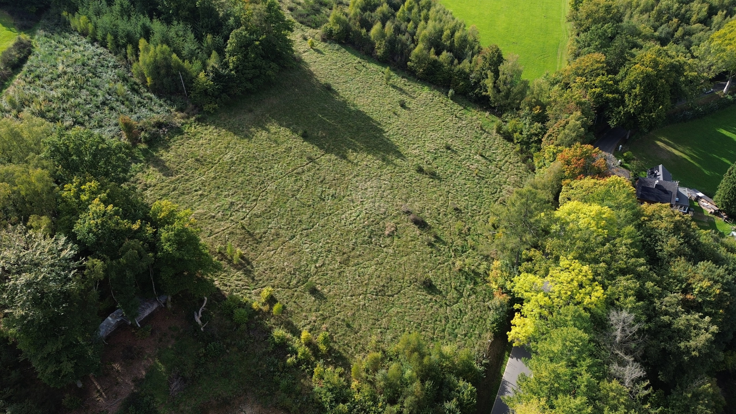 Land for sale in Stavelot - photo 4