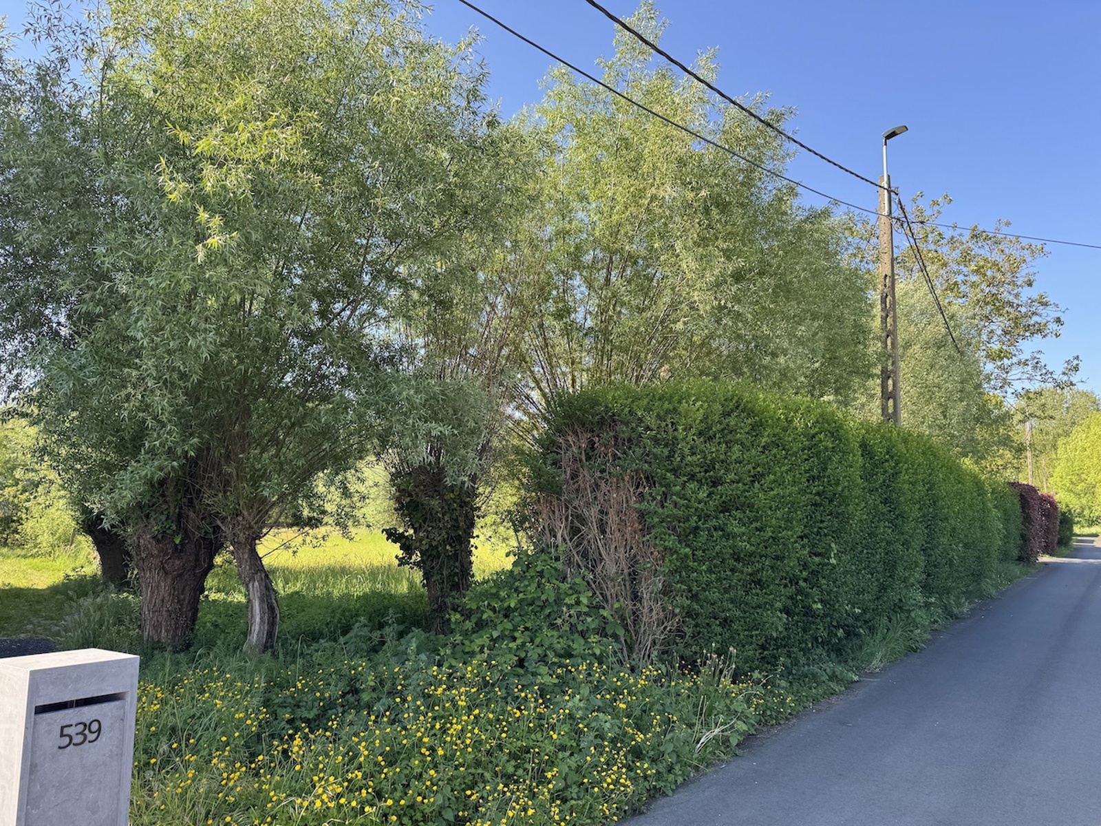 Grond te koop in Aalst - foto 4