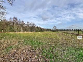 Dit stuk grond van 9396m² is gelegen aan de Leemdreef in Gooreind.Het terrein bevindt zich in landschappelijk waardevol agrarisch gebied.Interesse in dit ruime perceel bouwland?Vraag meer informatie aan via veerle.pierar@dewaele.com of 03/369.42.50.(ver-)Kopen of (ver-)huren in de Noorderkempen?Met vragen kan u altijd bij ons terecht!Dewaele VastgoedBestuursmaatregelen in het maatregelenregister: nee