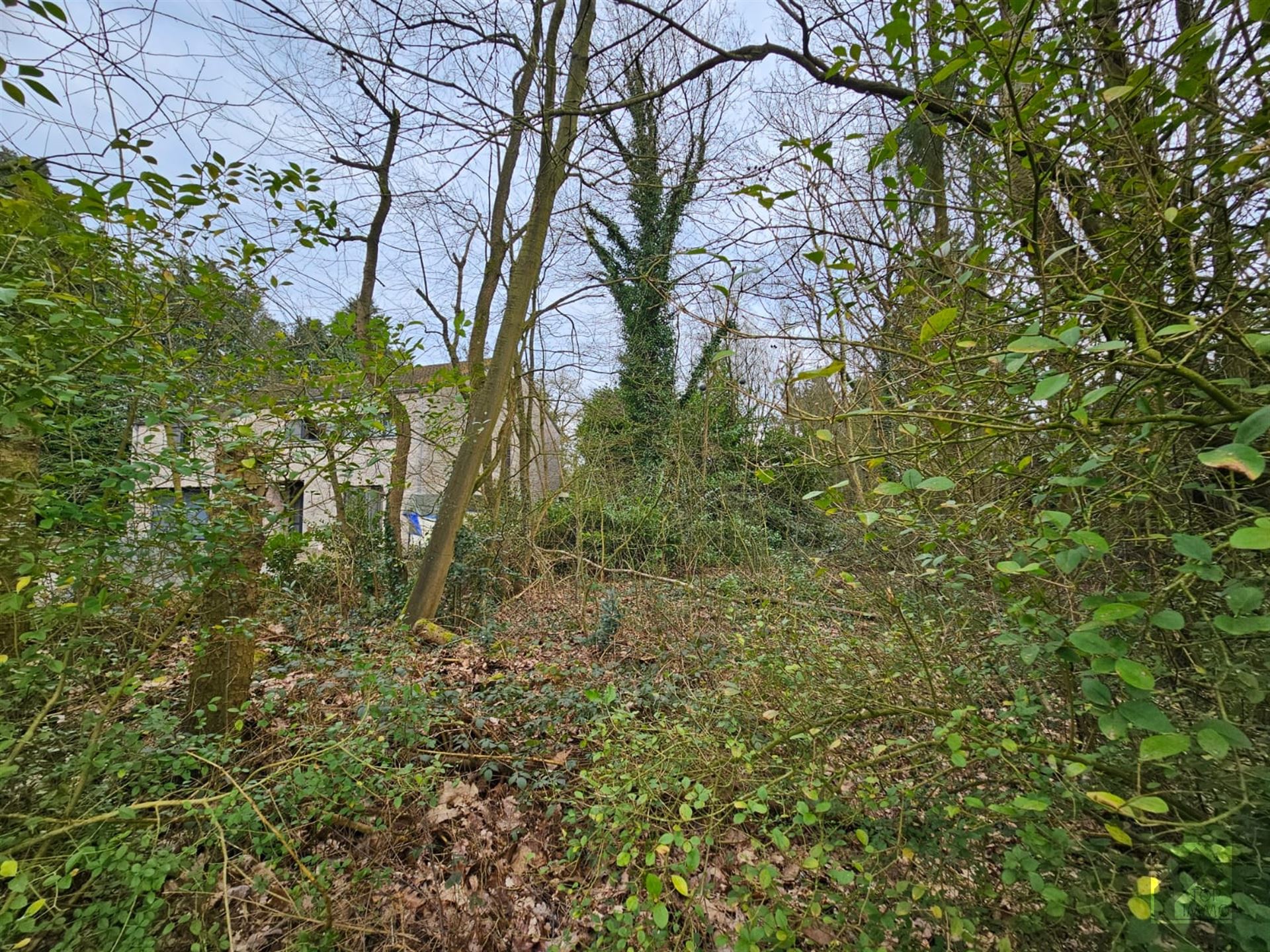 Bouwgrond 1585 m² - St Job - foto 5