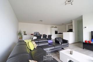 Apartment for rent in Bree