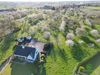 Deze statige villa in Wellen bevindt zich op een uitzonderlijk domein van ca. 3 ha 79 a met een ideale zuidoost-oriëntatie en een...