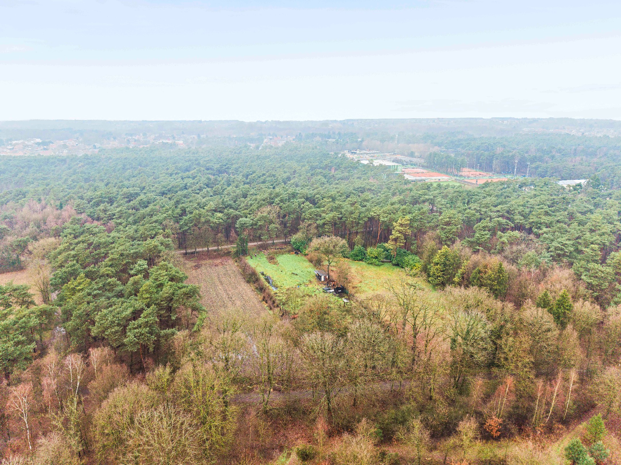 Rustig gelegen natuurperceel van 3.171 m² langs de Belsebaan in Balen - foto 2