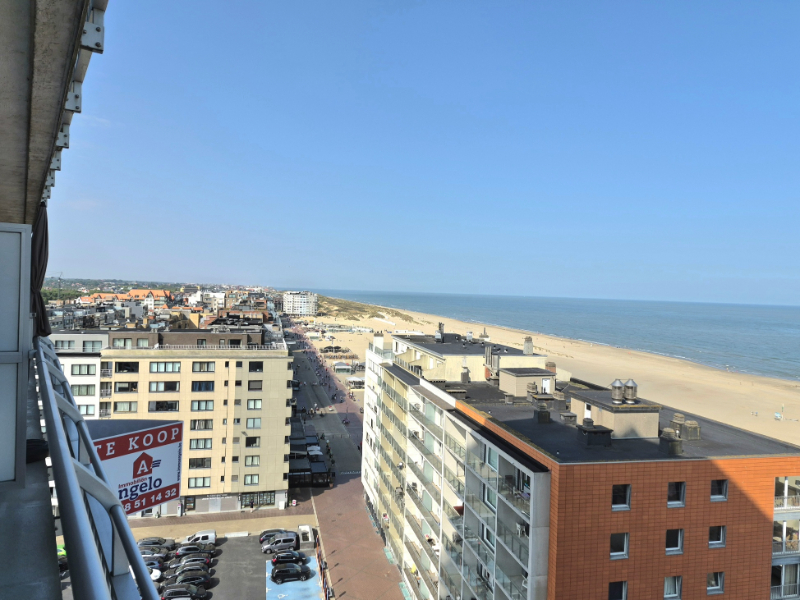 2-slaapkamer appartemet met terrassen en panoramisch zeezicht te koop - foto 4