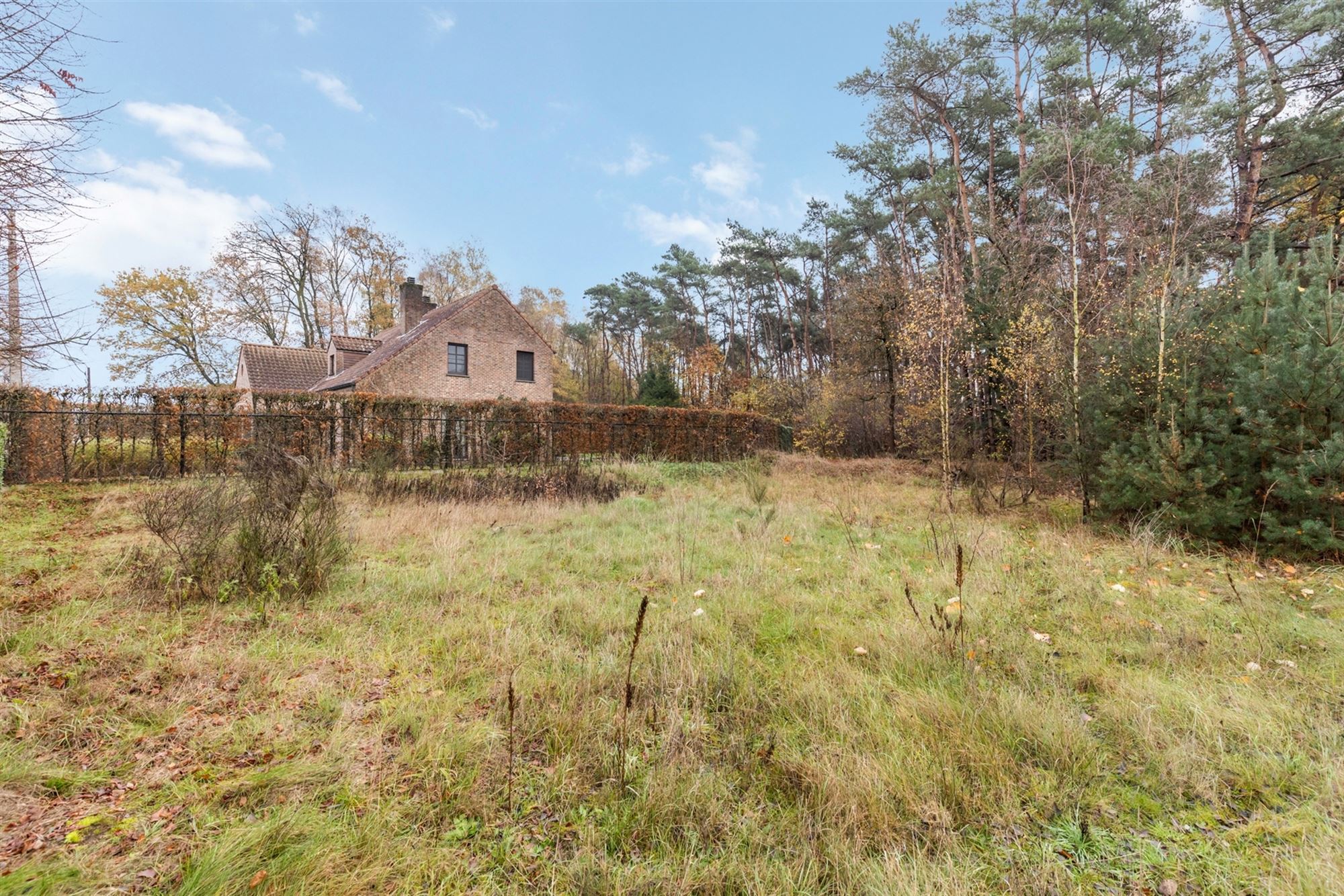 UNIEKE BOUWGROND VAN 1193M2 MET 34M STRAATBREEDTE! - foto 3