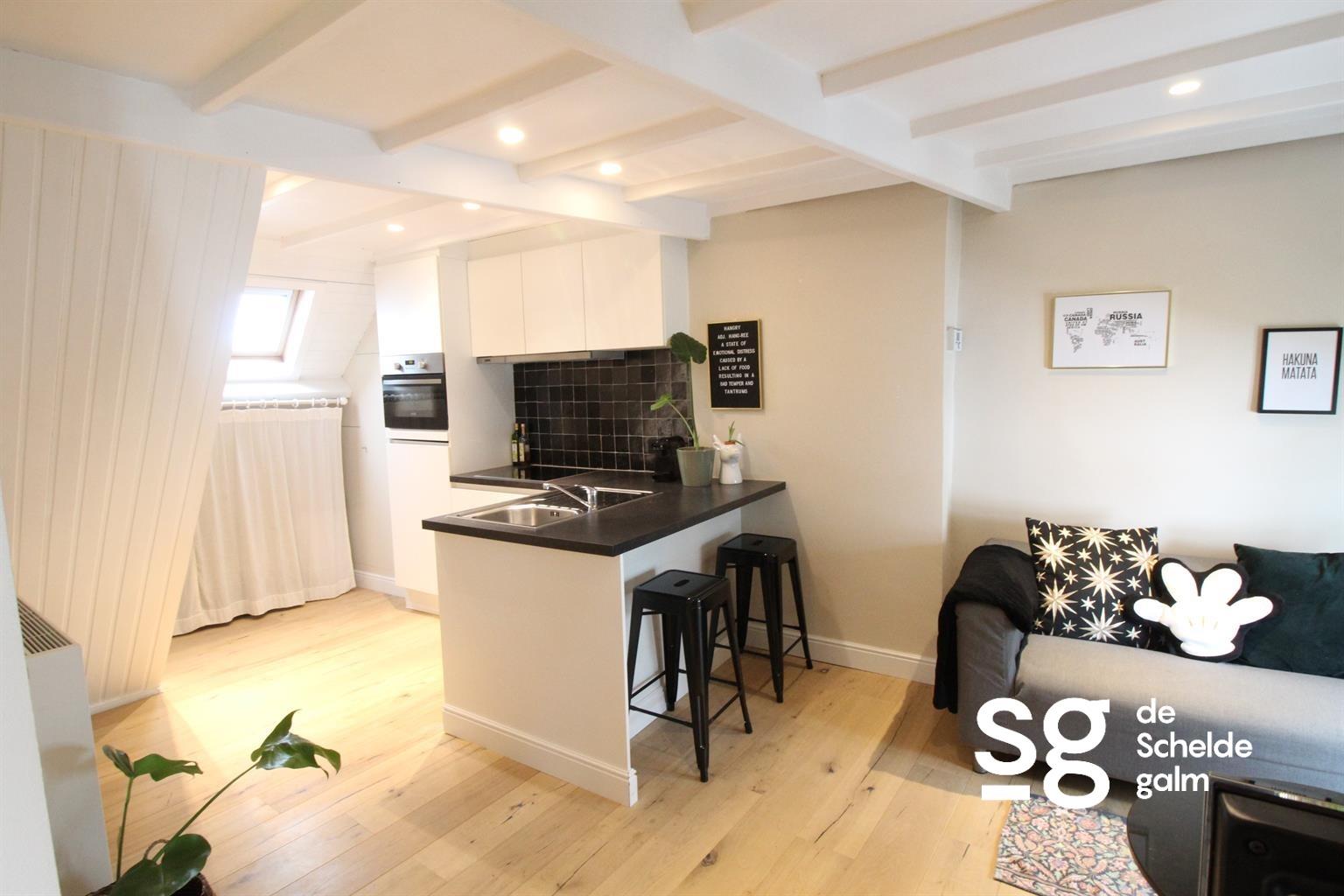 Appartement te huur in Gent met 1 slaapkamer - foto 4
