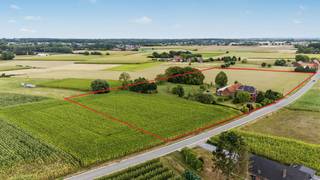 Solide en lichtrijke woning met 5 slaapkamers, rustig gelegen op ruim 70 are, zonder directe buren en met een prachtig uitzicht over de omliggende velden.
Op het gelijkvloers bevindt zich een ruime inkomhal met gastentoilet, een lichtrijke leefruimte, een gezellige woonkeuken met aansluitend de garage en toegang tot de kelder, en een badkamer.
De nachthal op de verdieping geeft toegang tot vijf volwaardige slaapkamers. Via een uitschuifbare trap bereik je de ruime zolder, die extra opbergmogelijkheden biedt.
Buiten bevindt zich een grote schuur die uitgeeft op de achterliggende weide. Onder bepaalde voorwaarden bestaat bovendien de mogelijkheid om extra grond aan te kopen.
Deze solide constructie geniet van bijzonder veel lichtinval en een unieke landelijke ligging, op slechts 2 km van het station van Edingen en op korte afstand van het centrum van Herne.
Biedingen vanaf € 475.000 voor de woning met ruim 70 are grond.
Voor meer informatie of een bezoek, contacteer Sophie via 0496 71 50 59.