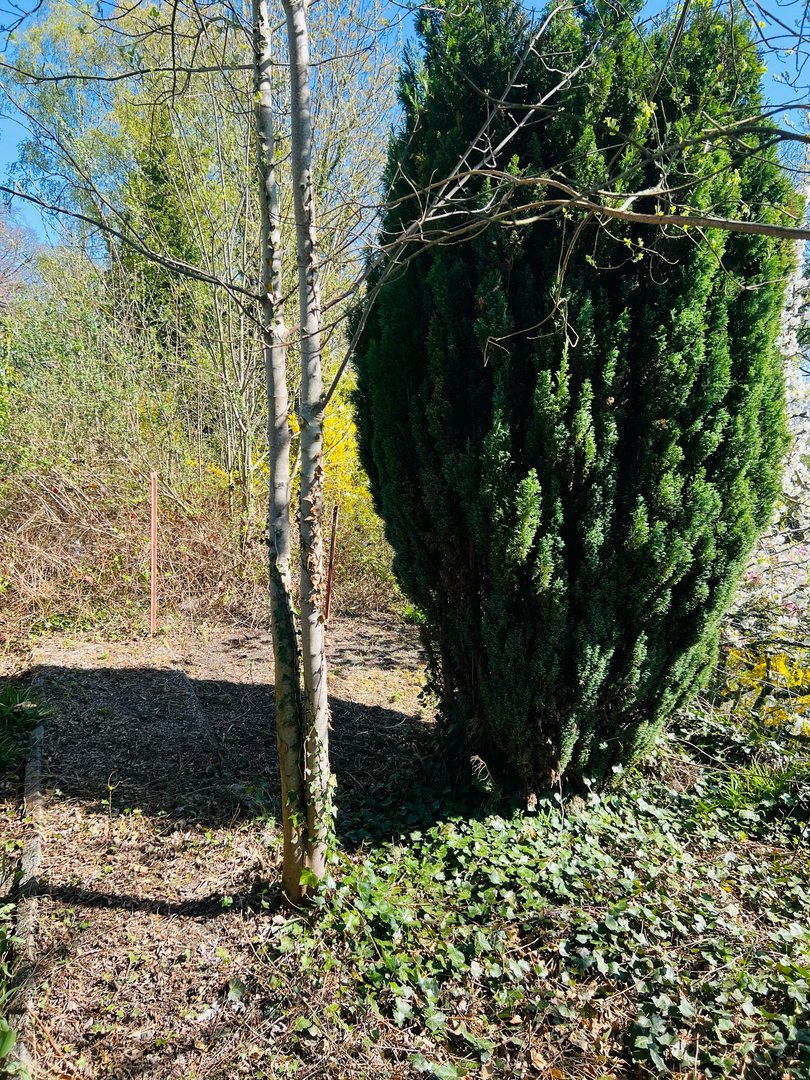 Maison récemment rénovée avec jardin - foto 1