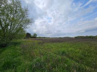 Perceel hooiland gelegen langsheen de Grote Spekstraat. Het perceel is eenvoudig te bereiken via de straat en is omgeven door andere akkerlanden...
