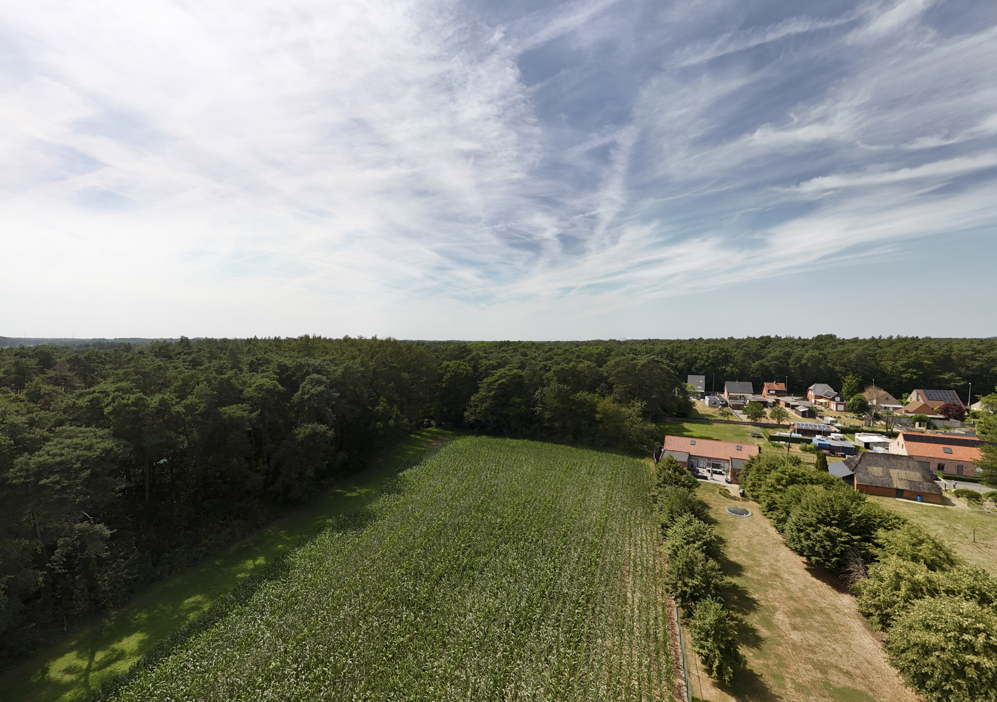 Bouwland van ca. 7995m² op grens met Vorselaar - foto 5