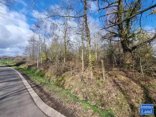 <p>Perceel grond van 75are, gelegen in agrarisch gebied op de grens Hasselt - Diepenbeek, omgeving Mombeekdreef. - Dit perceel is gelegen op de hoek van de Kruisstraat en Misenbergstraat, het verlengde van de Melbeekstraat. - Het terrein is door de jaren heen volledig overgroeid met struiken en ondertussen bomen. - Afmetingen bij benadering: 100m diep en 70m breed. - Meer info via 0486-603040 of via www.immoland.info</p>