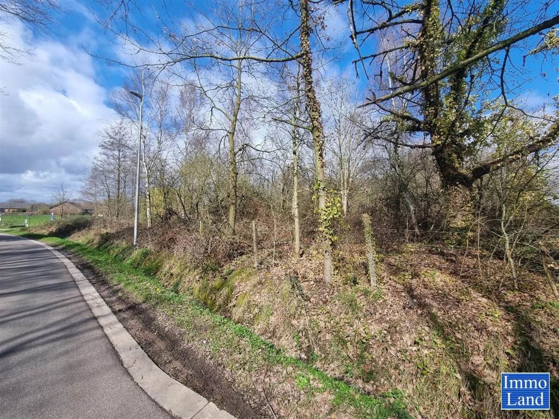 Perceel grond van 75are, gelegen in agrarisch gebied op de grens Hasselt - Diepenbeek, omgeving Mombeekdreef. - foto 2