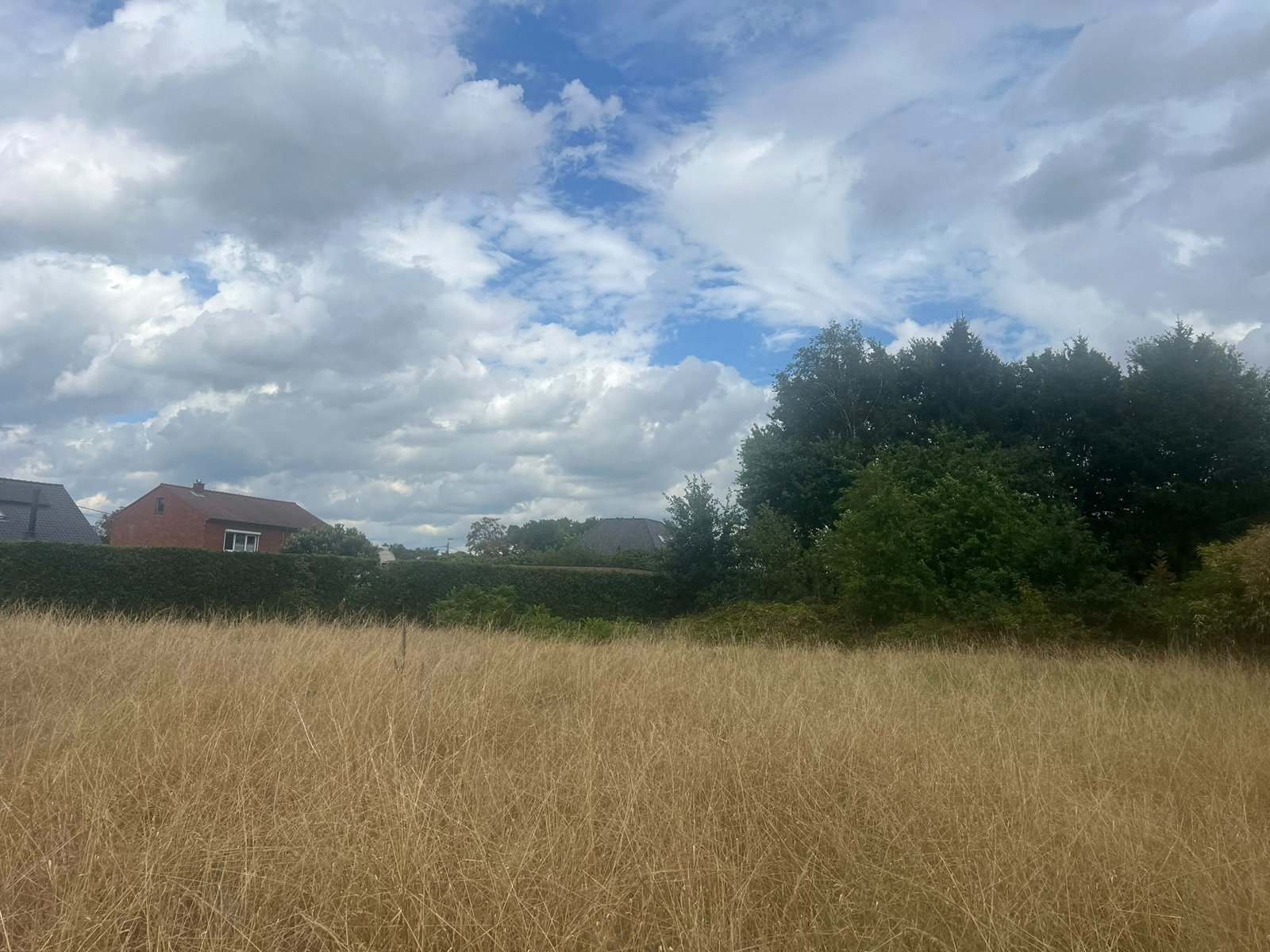 Land for sale in Balen - photo 4