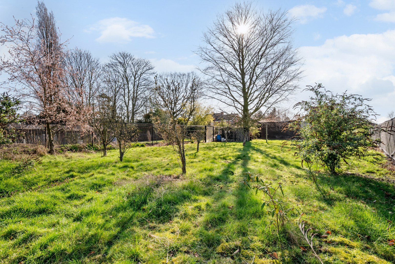 Instapklare en veelzijdige woning met veel potentieel! - foto 2