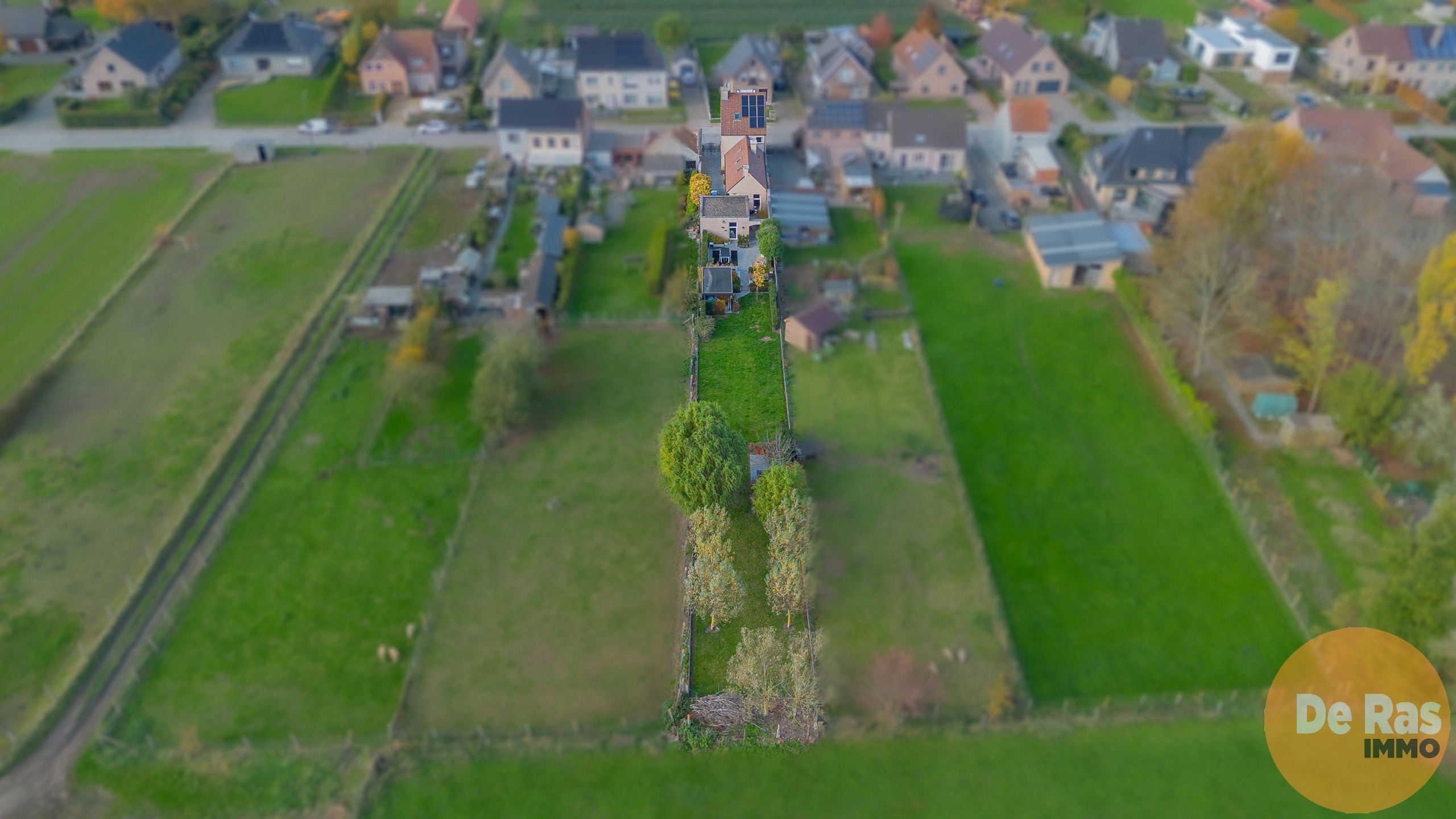 Maison à vendre à Wichelen avec 3 chambres - photo 2